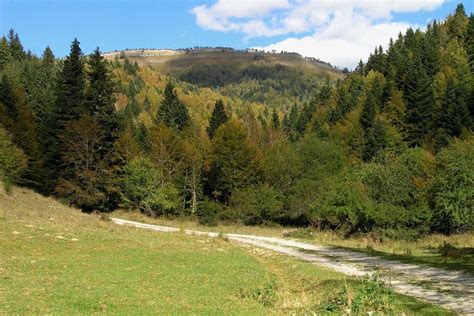 ruta errekaidorra|Ruta Errekaidorra. Selva de Irati. Ochagavía. Trail